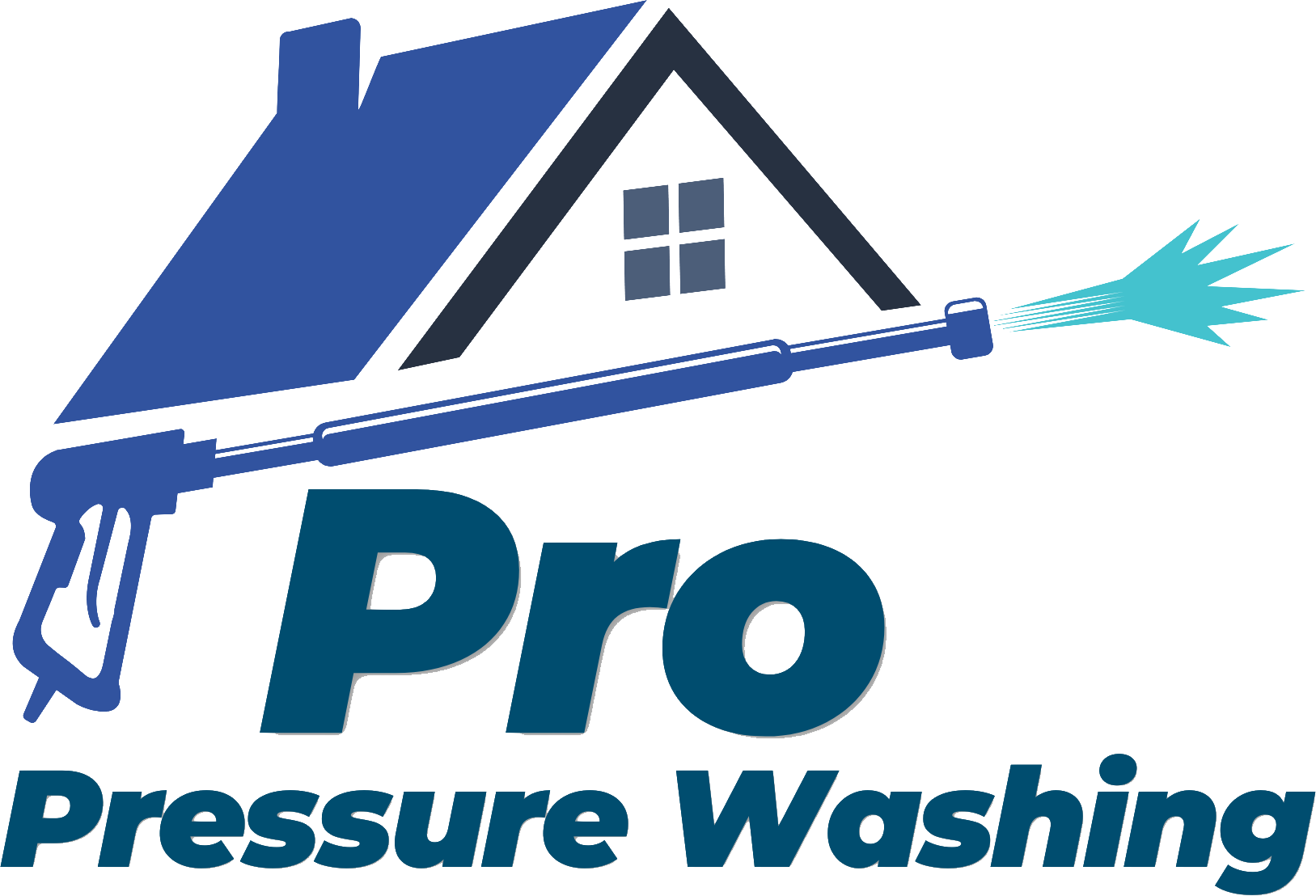 Pro Pressure Washing logo